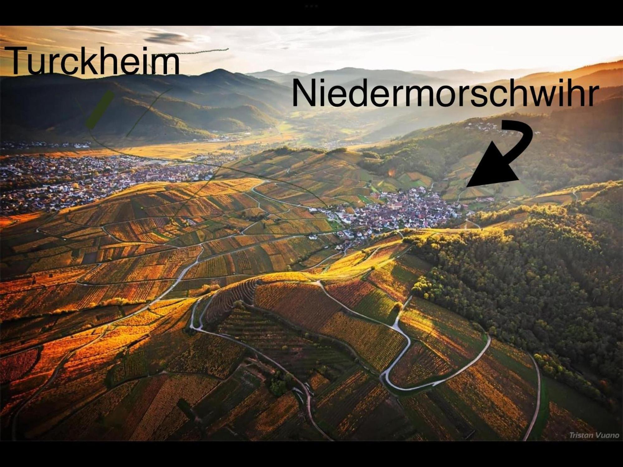 Caveau 1751 Niedermorschwihr Ngoại thất bức ảnh